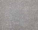 Apollo Elite Carpet