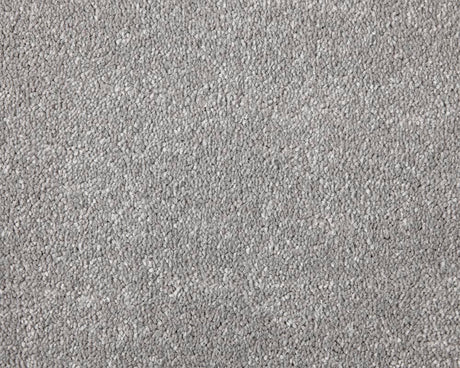 Apollo Elite Carpet
