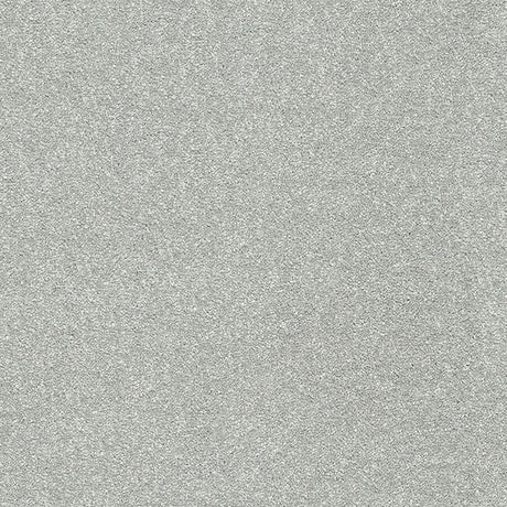 Stainfree Twist Carpet