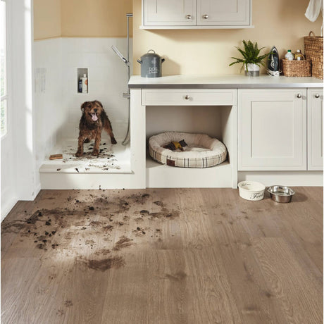 Karndean Van Gogh Gluedown Smoked Butternut VGW8107
