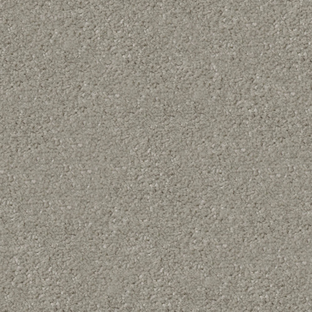 Apollo Plus Carpet