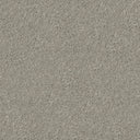 Apollo Plus Carpet