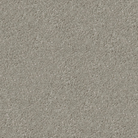 Apollo Plus Carpet