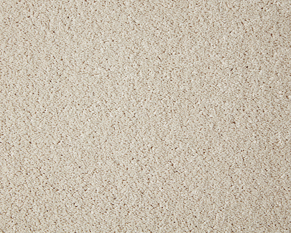 Primo Grande Carpet