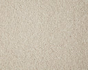 Primo Grande Carpet