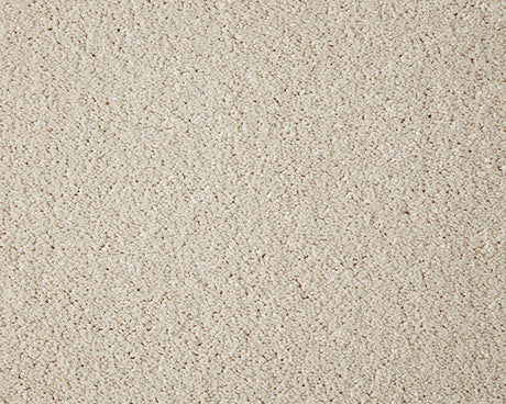 Primo Grande Carpet