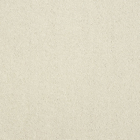 Captivation Carpet