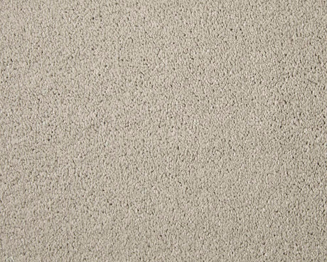 Apollo Elite Carpet
