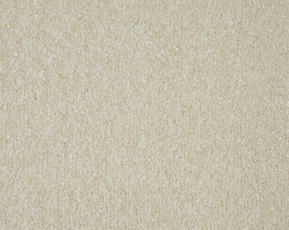 Sensation Carpet