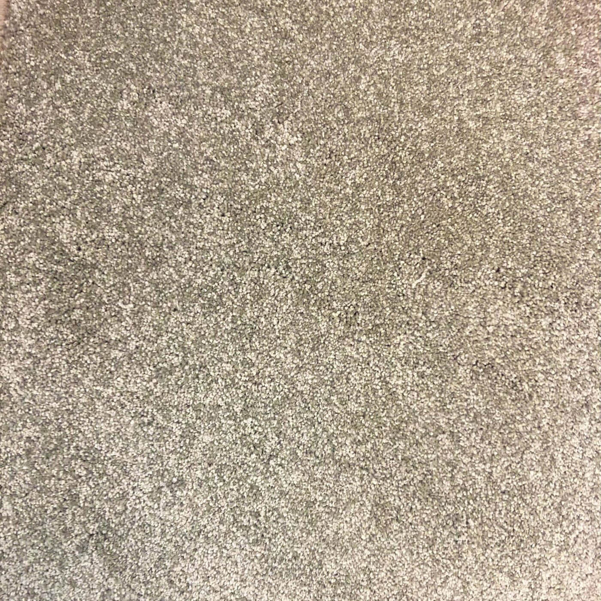 Soft Satiny 67 (2.90m x 5.00m) M016696