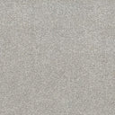 Stainfree Ultra Carpet