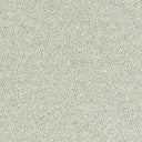 Sophisticat Carpet
