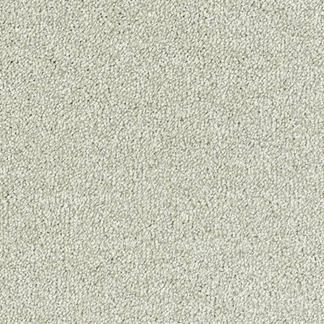 Sophisticat Carpet