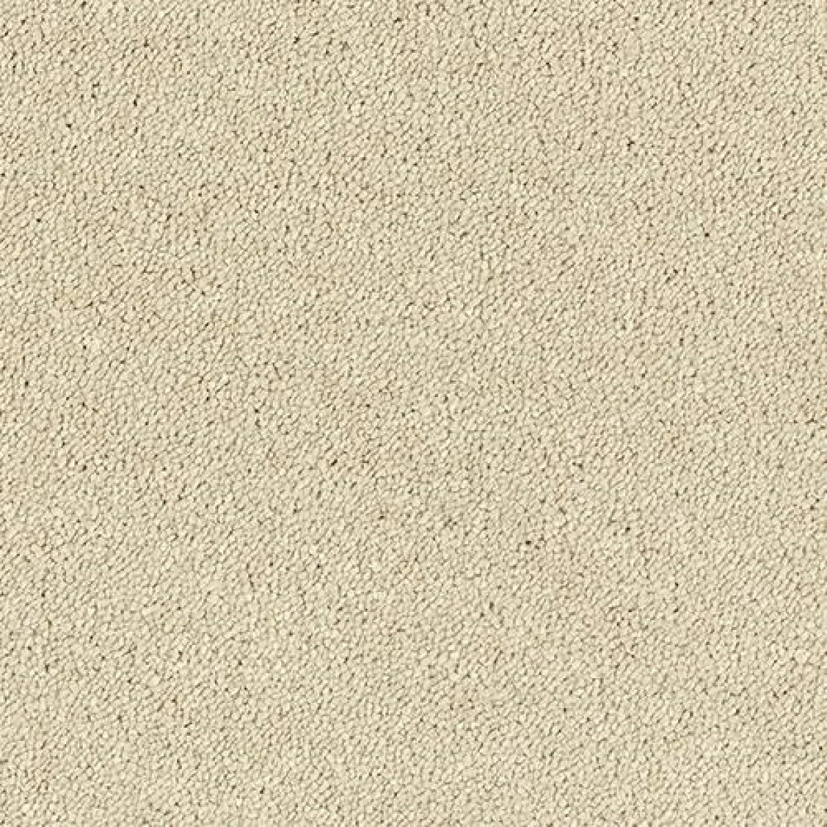 Sophisticat Carpet