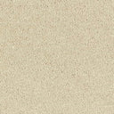 Sophisticat Carpet