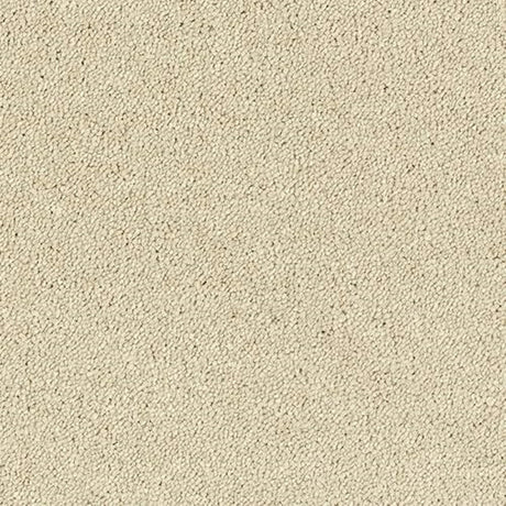 Sophisticat Carpet