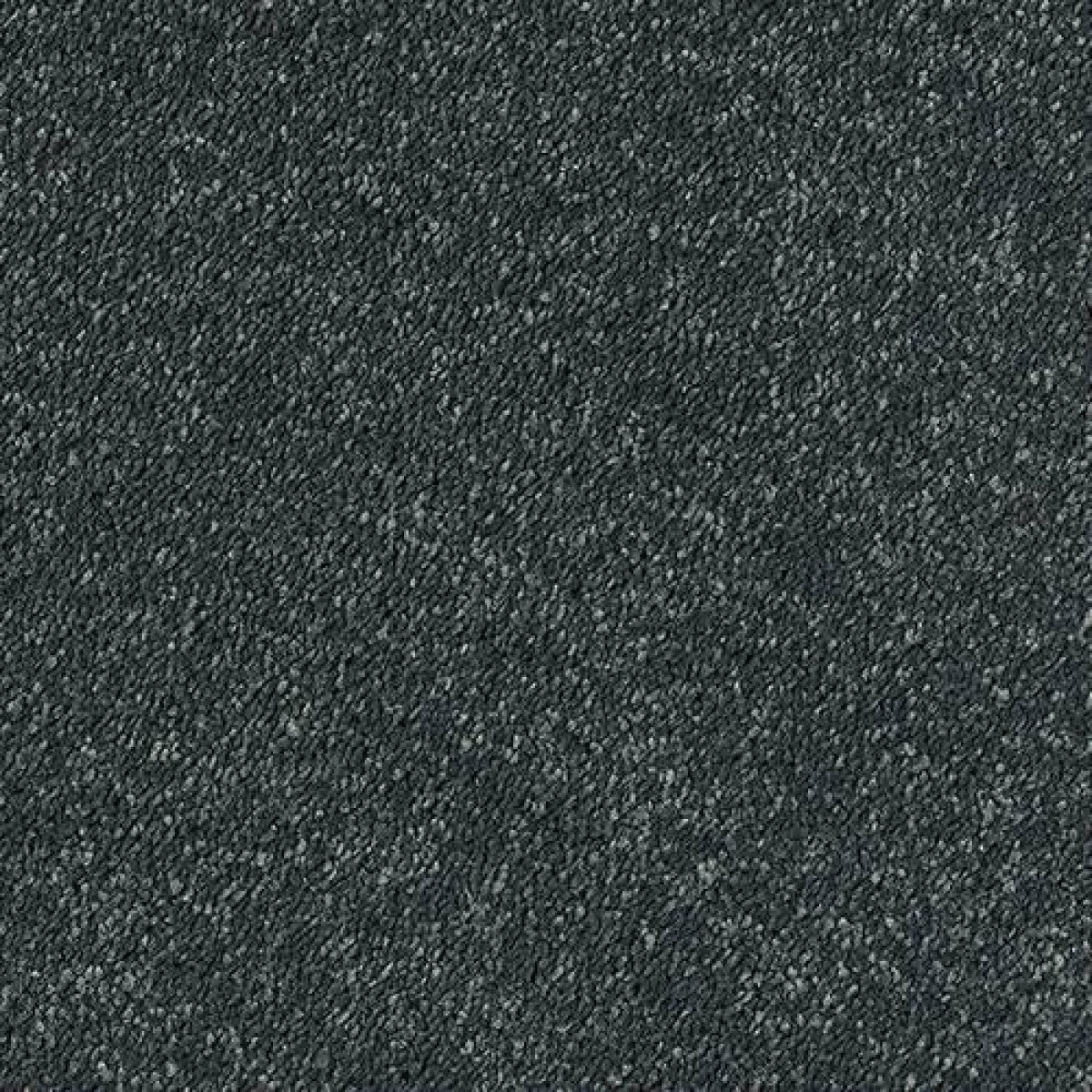 Sophisticat Carpet