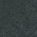 Sophisticat Carpet