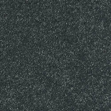 Sophisticat Carpet