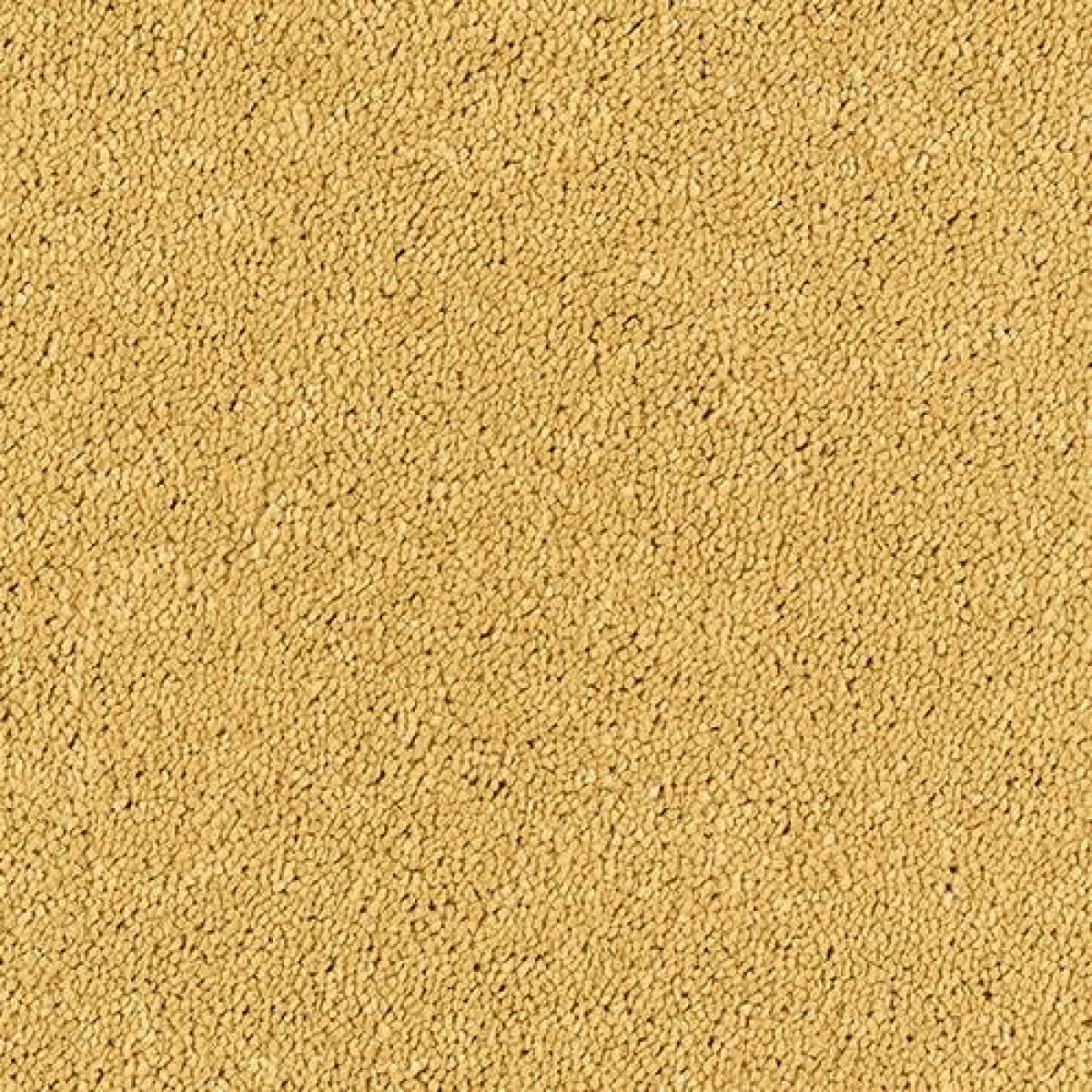 Sophisticat Carpet