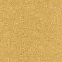 Sophisticat Carpet