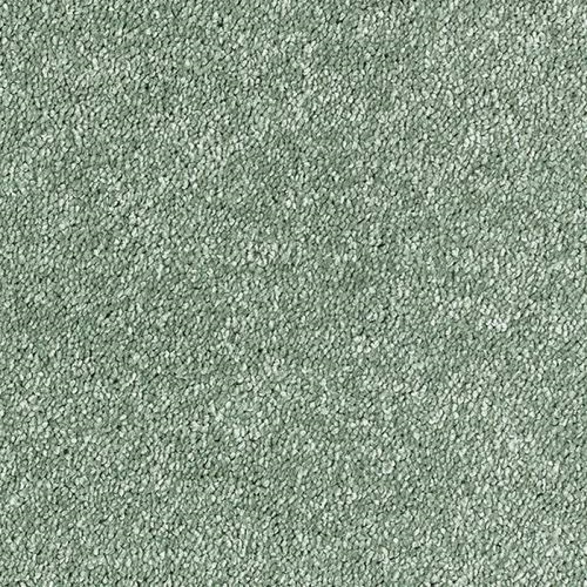Sophisticat Carpet
