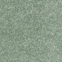 Sophisticat Carpet