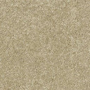 Sophisticat Carpet