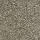 Sophisticat Carpet