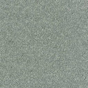 Sophisticat Carpet