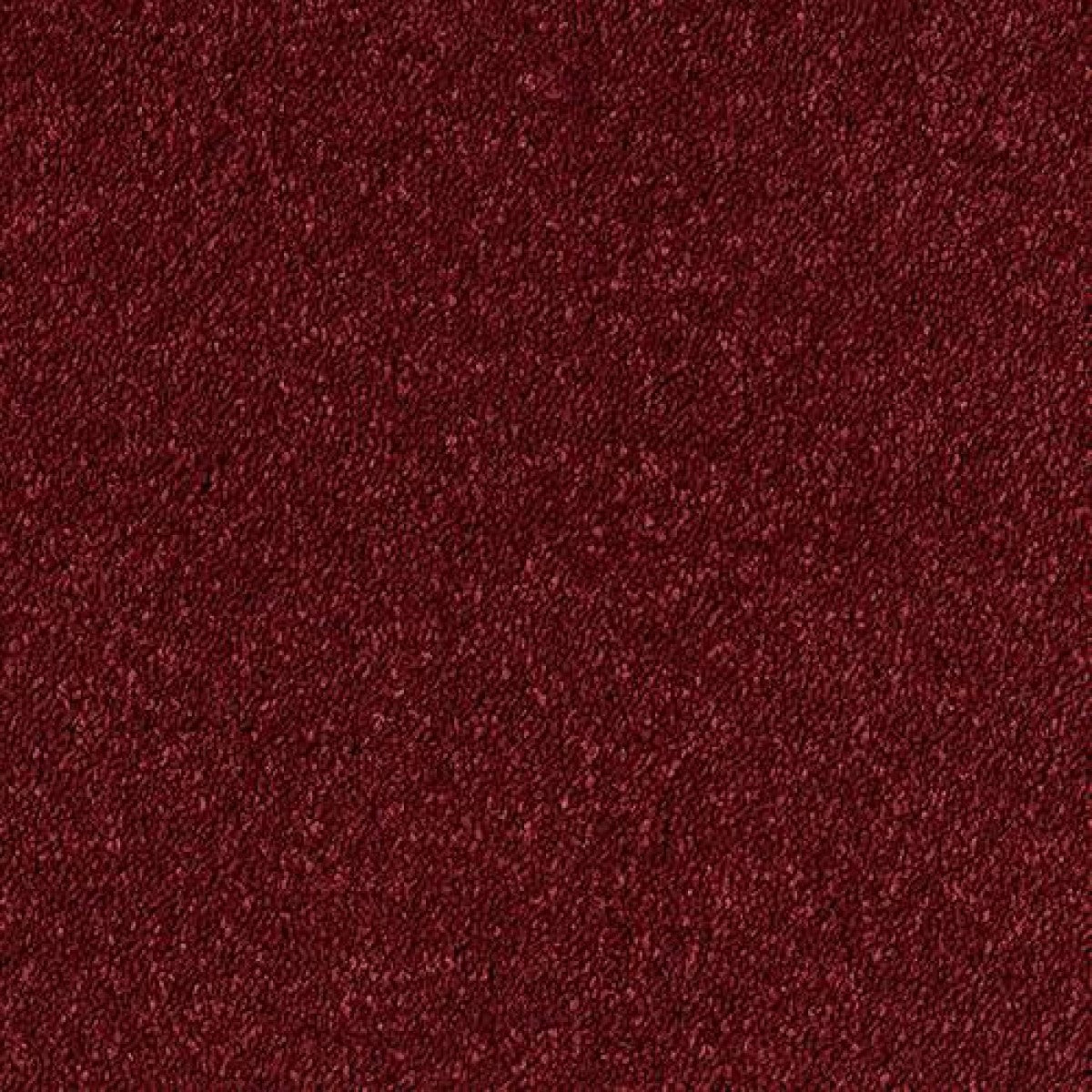 Sophisticat Carpet