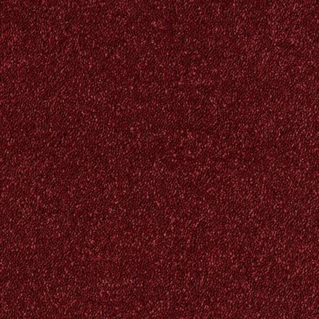 Sophisticat Carpet