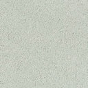 Sophisticat Carpet