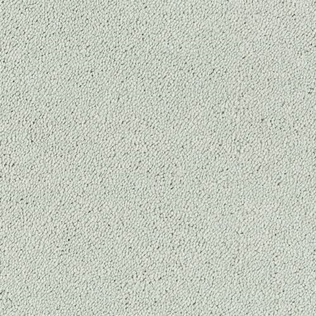 Sophisticat Carpet