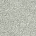 Sophisticat Carpet