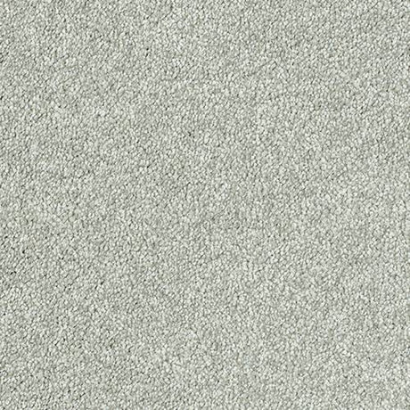 Sophisticat Carpet