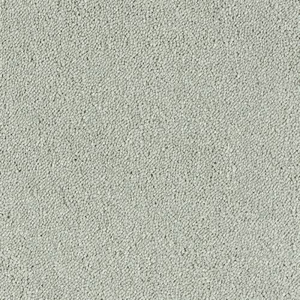 Sophisticat Carpet