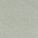 Sophisticat Carpet