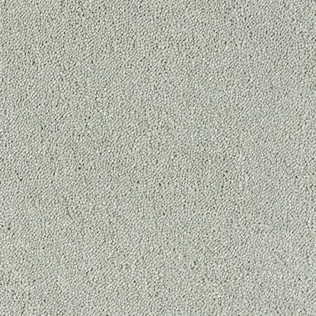 Sophisticat Carpet