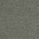 Sophisticat Carpet