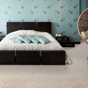 Sophistication Carpet