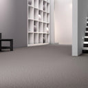 Sophistication Carpet