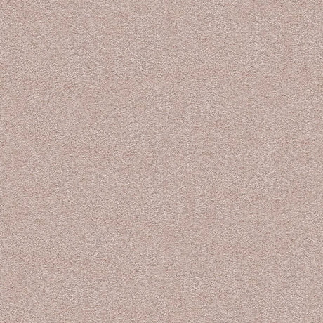 Splendour Carpet