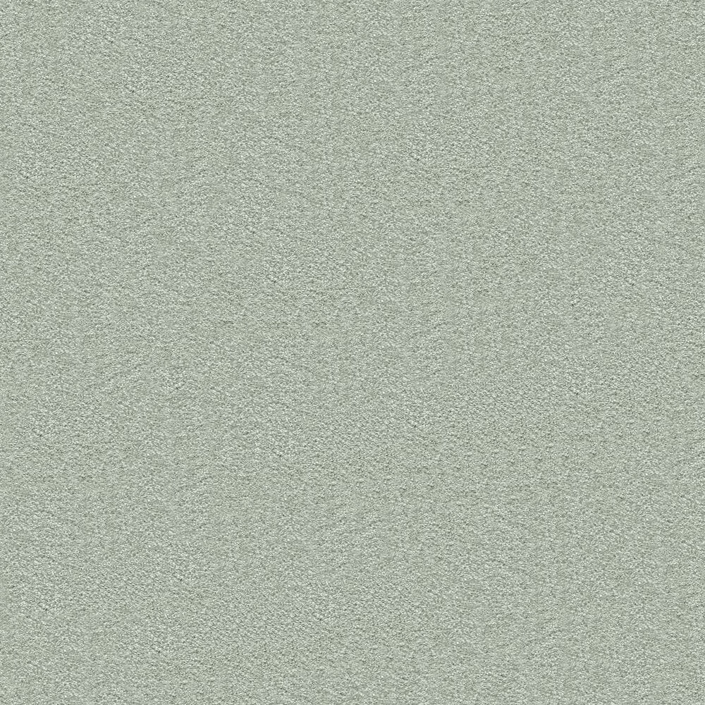 Splendour Carpet