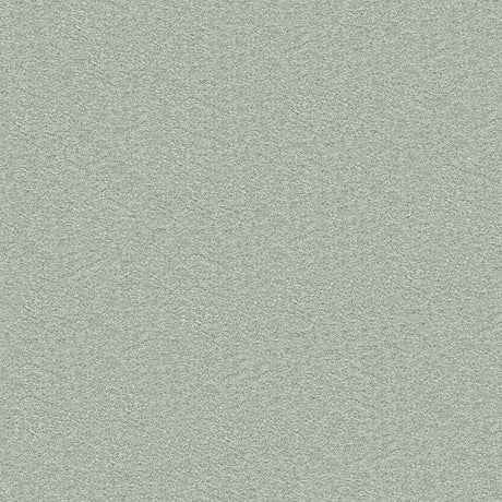 Splendour Carpet