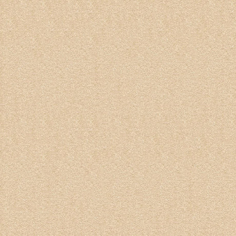 Splendour Carpet