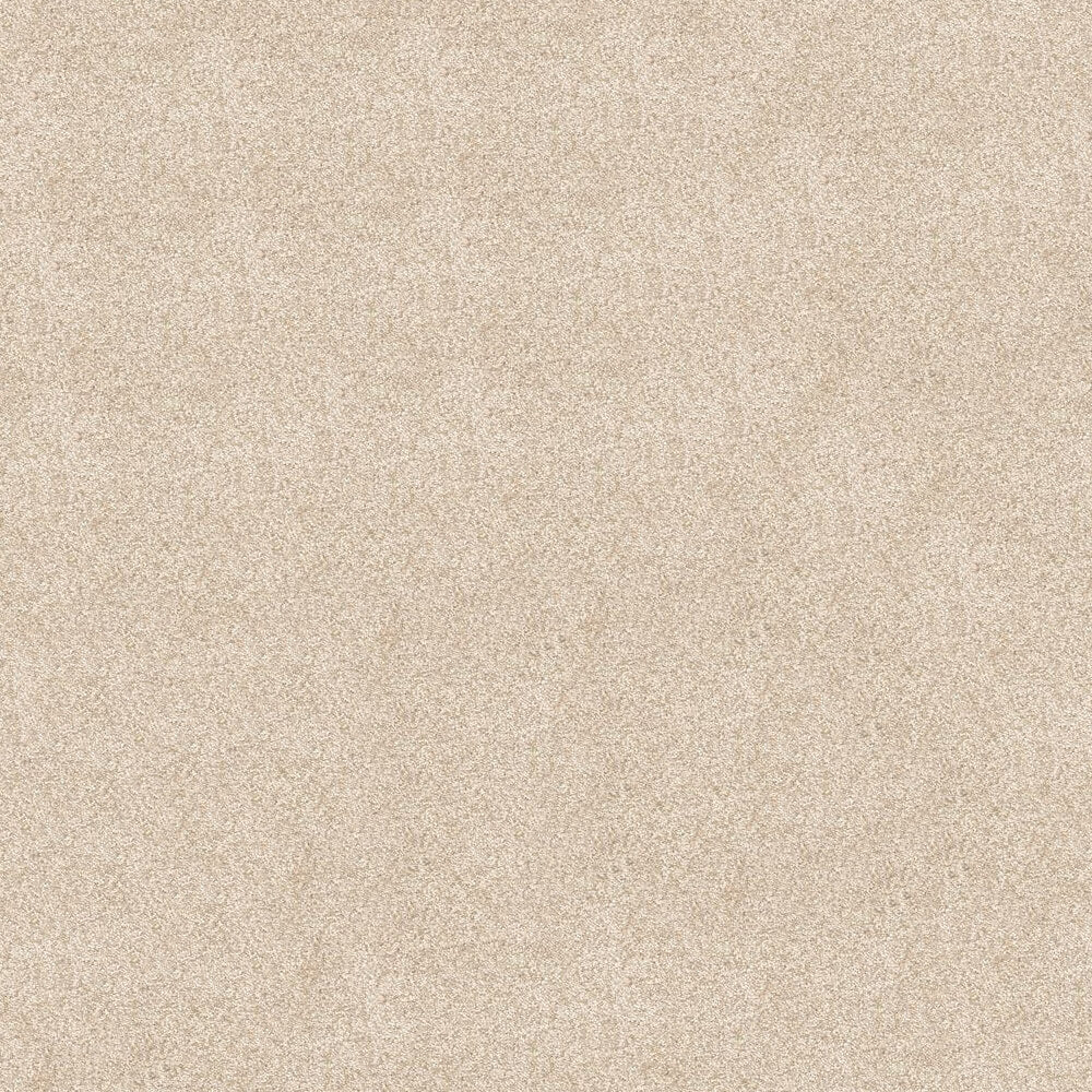 Splendour Carpet