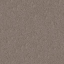 Splendour Carpet
