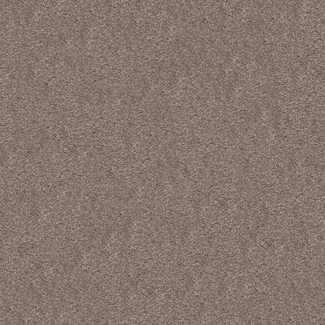 Splendour Carpet