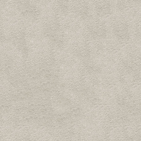Splendour Carpet